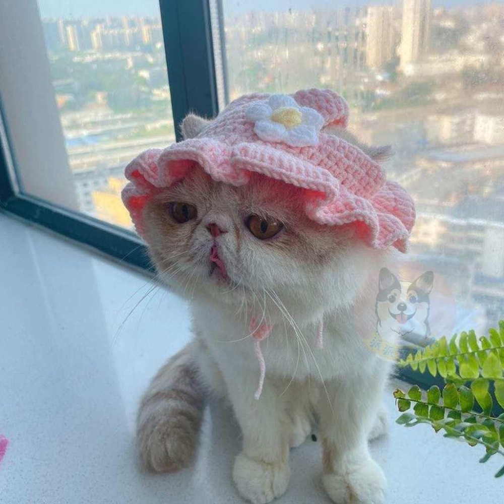 🐸針織小頭套🐸 寵物帽子 貓咪帽子 貓帽子 貓咪頭套 寵物頭套狗狗頭套 狗狗帽子 狗帽子 貓毛帽 狗毛帽 寵物帽 拍照-細節圖6