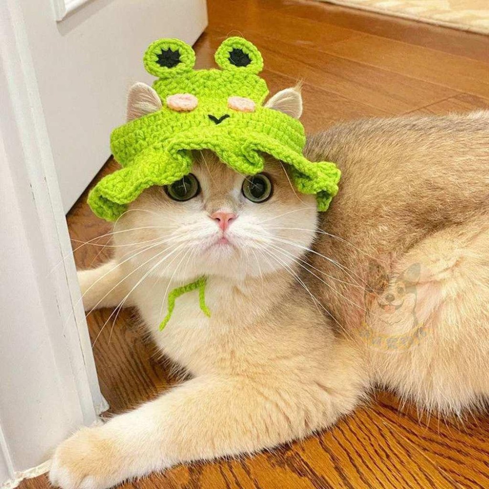 🐸針織小頭套🐸 寵物帽子 貓咪帽子 貓帽子 貓咪頭套 寵物頭套狗狗頭套 狗狗帽子 狗帽子 貓毛帽 狗毛帽 寵物帽 拍照-細節圖7
