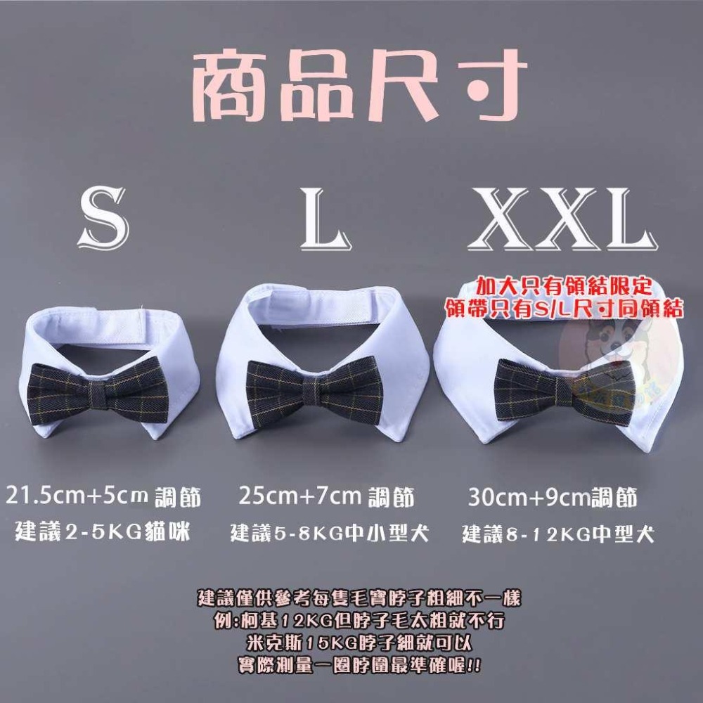 寵物領帶🎀 貓咪領帶 狗狗領帶 寵物領巾 狗狗領帶 狗領巾 寵物項圈 寵物配件 貓領帶 比熊造型狗狗貓咪領巾頸圈領結-細節圖2