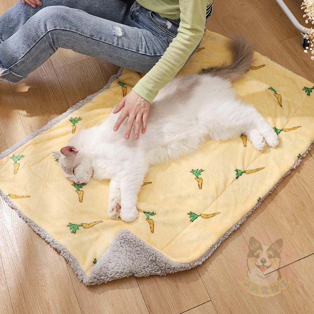 柔軟寵物毯🌞 寵物睡墊 寵物窩 寵物墊 寵物毛毯 狗窩 寵物保暖 寵物毯 寵物毯子 貓窩 狗墊 狗狗睡墊 貓睡墊 狗睡墊-細節圖5