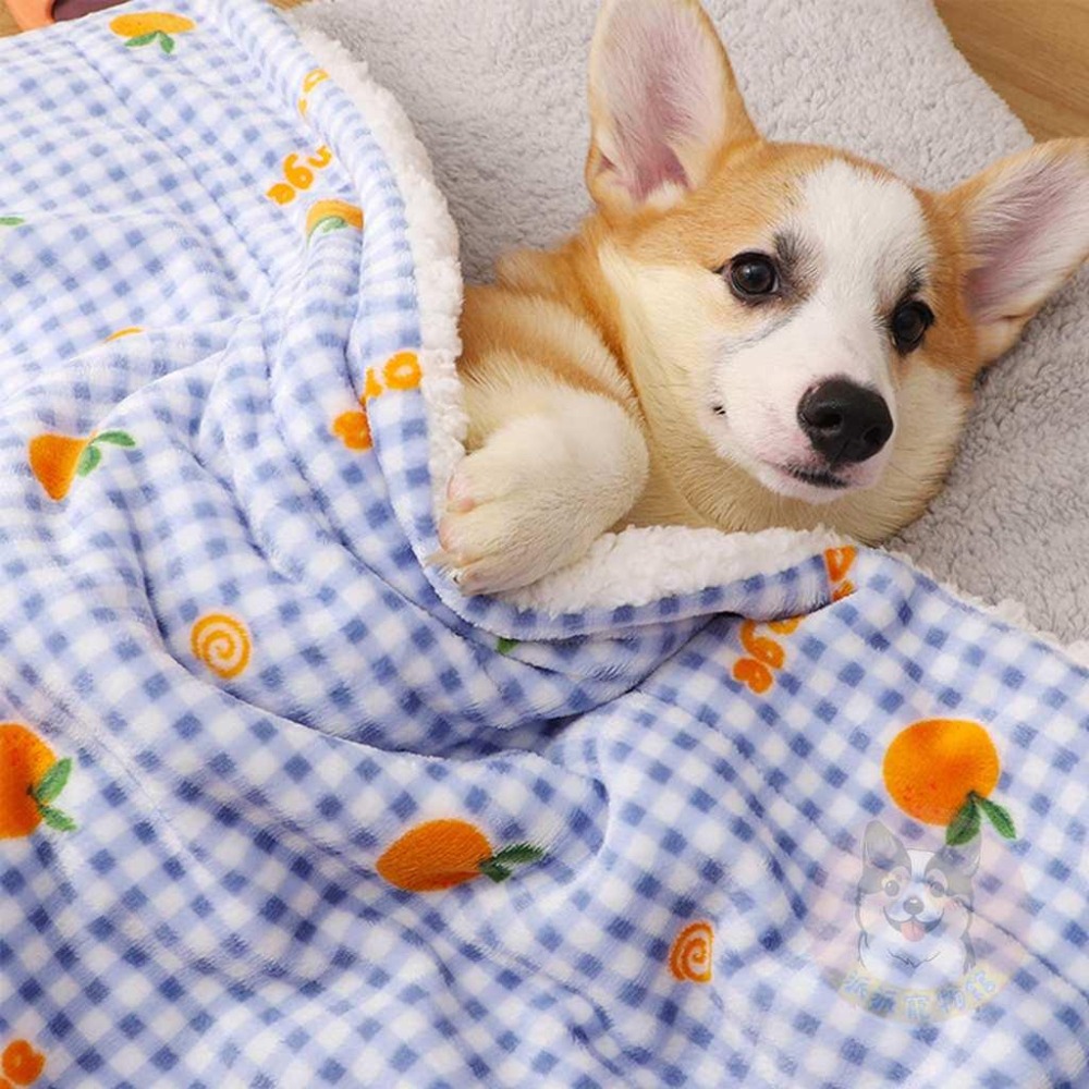 柔軟寵物毯🌞 寵物睡墊 寵物窩 寵物墊 寵物毛毯 狗窩 寵物保暖 寵物毯 寵物毯子 貓窩 狗墊 狗狗睡墊 貓睡墊 狗睡墊-細節圖8