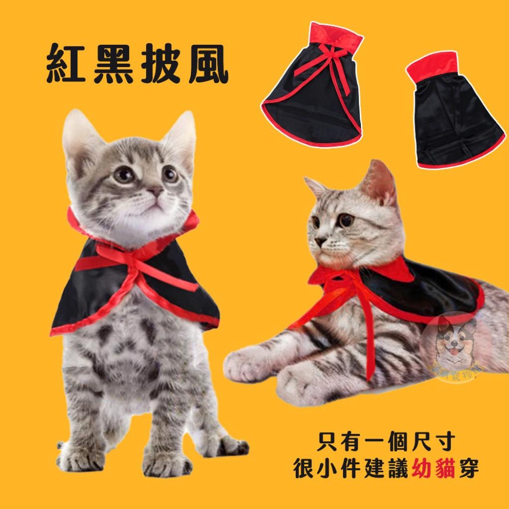 🪓萬聖節變裝🎃 寵物帽子 寵物領巾 寵物眼鏡 貓咪萬聖節 寵物萬聖節 貓咪變裝寵物配件狗狗帽子 貓咪帽子 寵物飾品變裝-細節圖2