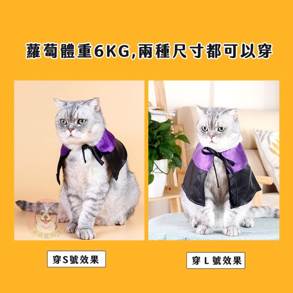 🪓萬聖節變裝🎃 寵物帽子 寵物領巾 寵物眼鏡 貓咪萬聖節 寵物萬聖節 貓咪變裝寵物配件狗狗帽子 貓咪帽子 寵物飾品變裝-細節圖4