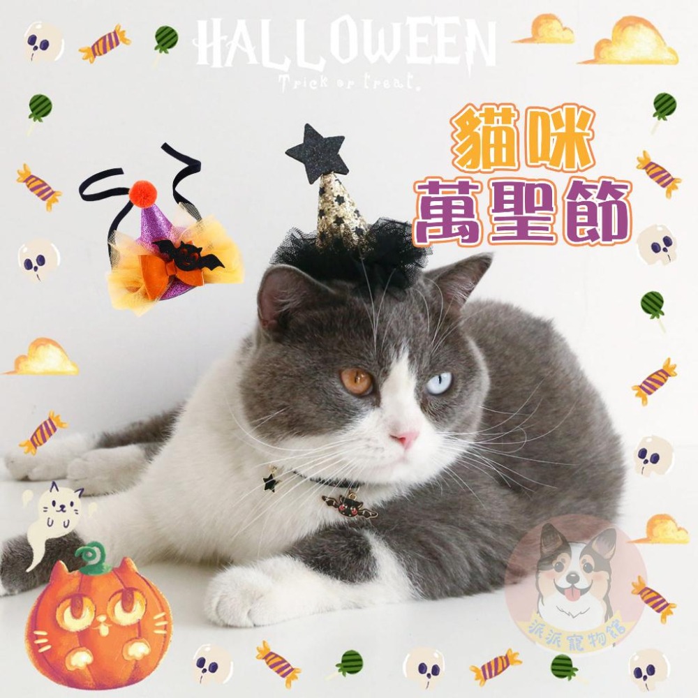 🪓萬聖節變裝🎃 寵物帽子 寵物領巾 寵物眼鏡 貓咪萬聖節 寵物萬聖節 貓咪變裝寵物配件狗狗帽子 貓咪帽子 寵物飾品變裝-細節圖5