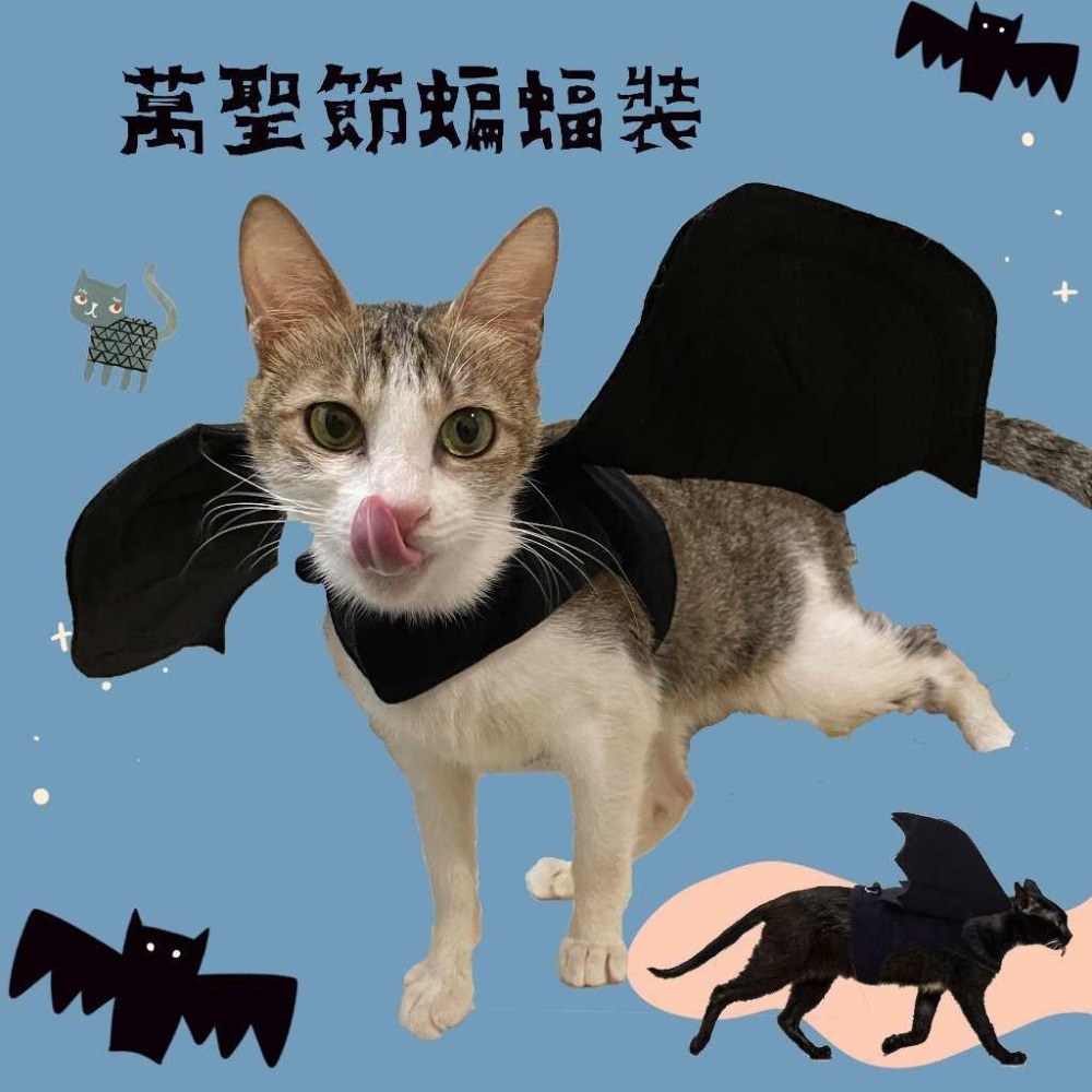 🪓萬聖節變裝🎃 寵物帽子 寵物領巾 寵物眼鏡 貓咪萬聖節 寵物萬聖節 貓咪變裝寵物配件狗狗帽子 貓咪帽子 寵物飾品變裝-細節圖7