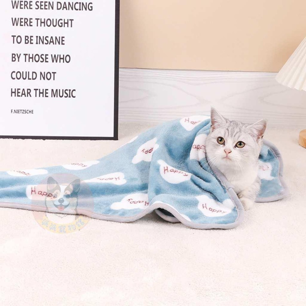 寵物小毯毯💕 寵物毯 寵物窩 寵物毛毯 狗窩 寵物被子 小被被 寵物毯子 狗狗毯子 寵物棉被 貓咪毯子 貓窩貓毯狗睡墊-細節圖5