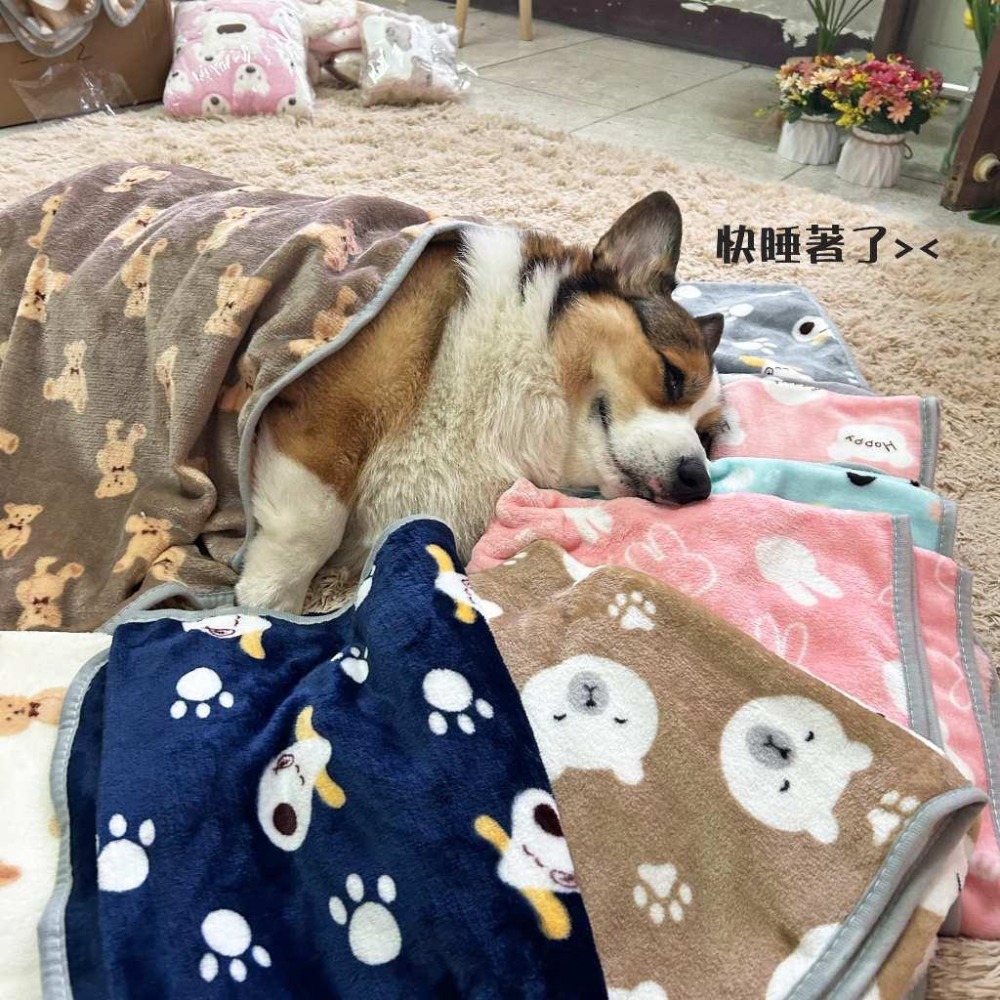 寵物小毯毯💕 寵物毯 寵物窩 寵物毛毯 狗窩 寵物被子 小被被 寵物毯子 狗狗毯子 寵物棉被 貓咪毯子 貓窩貓毯狗睡墊-細節圖6