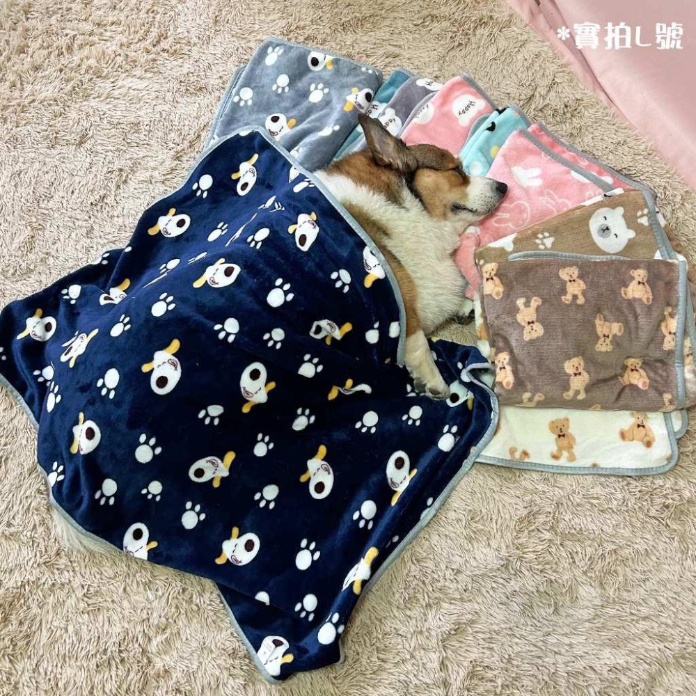 寵物小毯毯💕 寵物毯 寵物窩 寵物毛毯 狗窩 寵物被子 小被被 寵物毯子 狗狗毯子 寵物棉被 貓咪毯子 貓窩貓毯狗睡墊-細節圖7