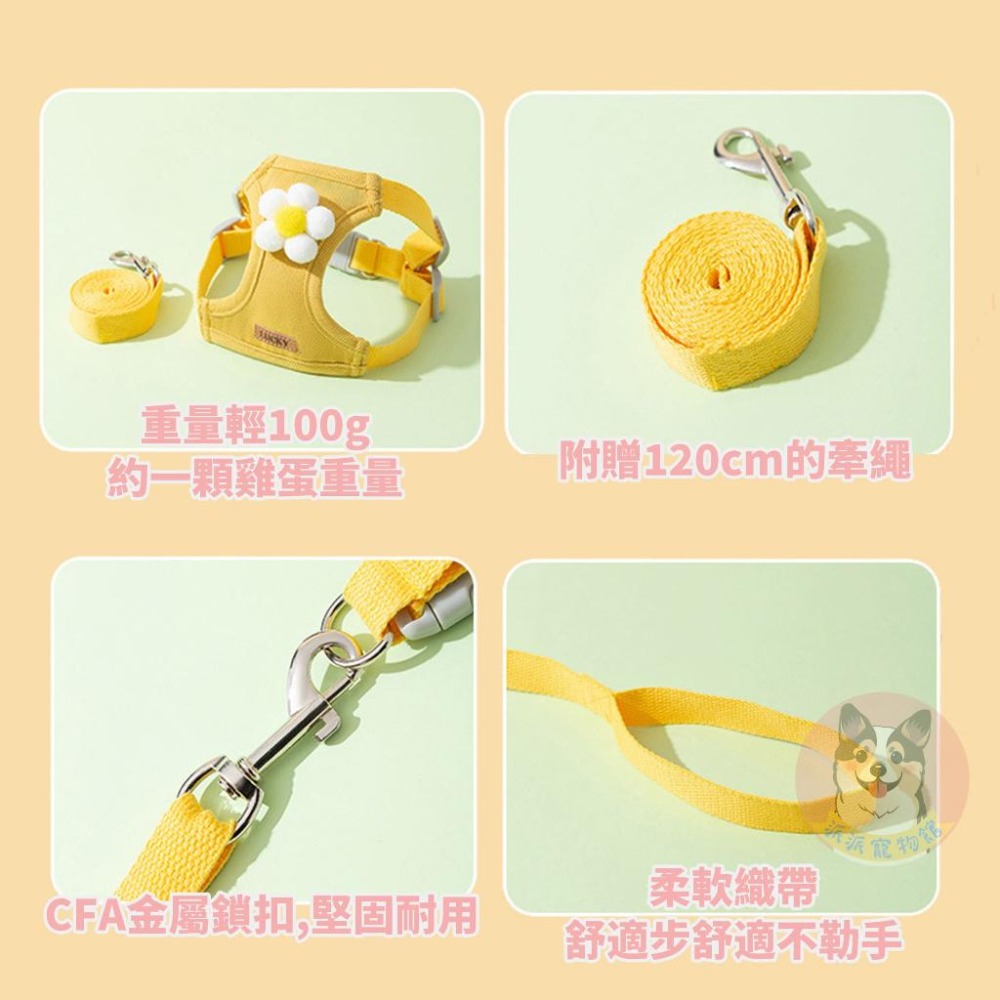 🌼立體胸背帶🌼 胸背帶 寵物胸背帶 狗狗胸背帶 貓咪胸背帶 狗胸背帶 貓胸背帶幼犬胸背帶小型犬胸背帶胸背狗胸背寵物背帶-細節圖3