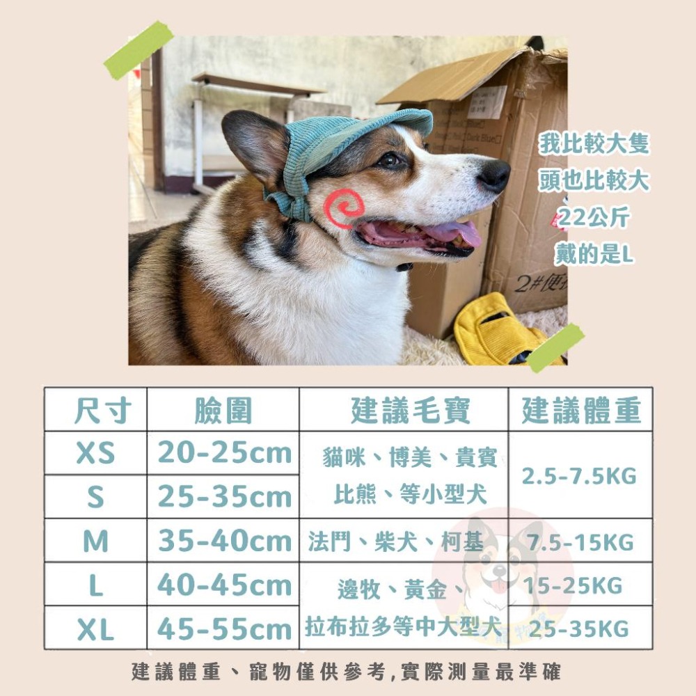 寵物漁夫帽🧢 寵物帽子 狗狗帽子 狗帽子 貓咪帽子 遮陽帽 寵物帽 寵物配件 大狗帽子 柯基棒球帽 小狗帽子 狗帽貓帽-細節圖2