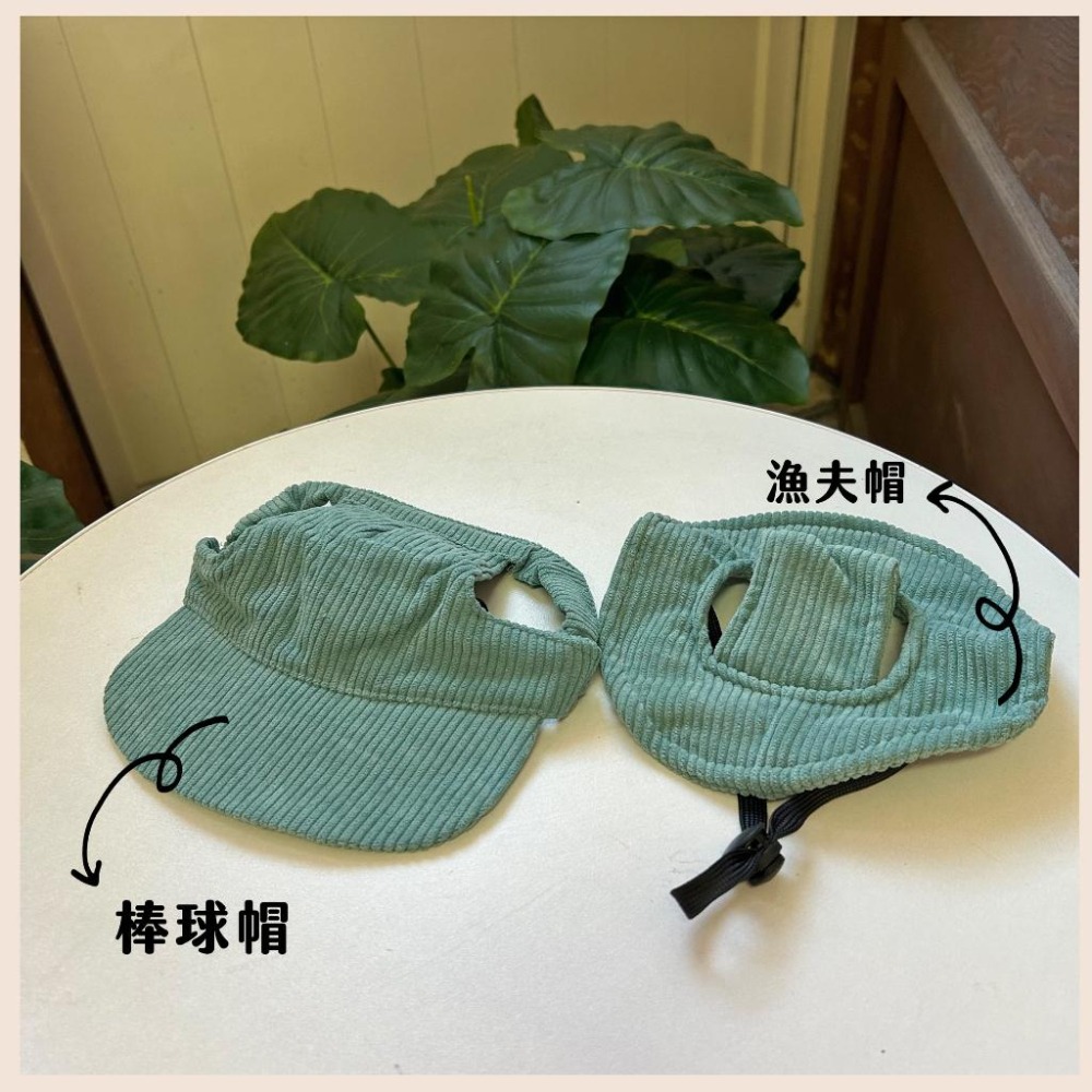 寵物漁夫帽🧢 寵物帽子 狗狗帽子 狗帽子 貓咪帽子 遮陽帽 寵物帽 寵物配件 大狗帽子 柯基棒球帽 小狗帽子 狗帽貓帽-細節圖4