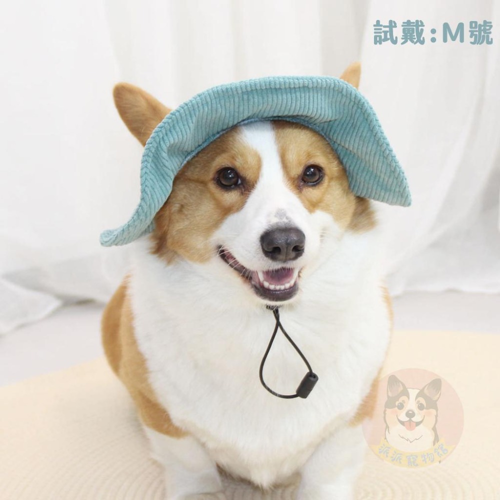 寵物漁夫帽🧢 寵物帽子 狗狗帽子 狗帽子 貓咪帽子 遮陽帽 寵物帽 寵物配件 大狗帽子 柯基棒球帽 小狗帽子 狗帽貓帽-細節圖7