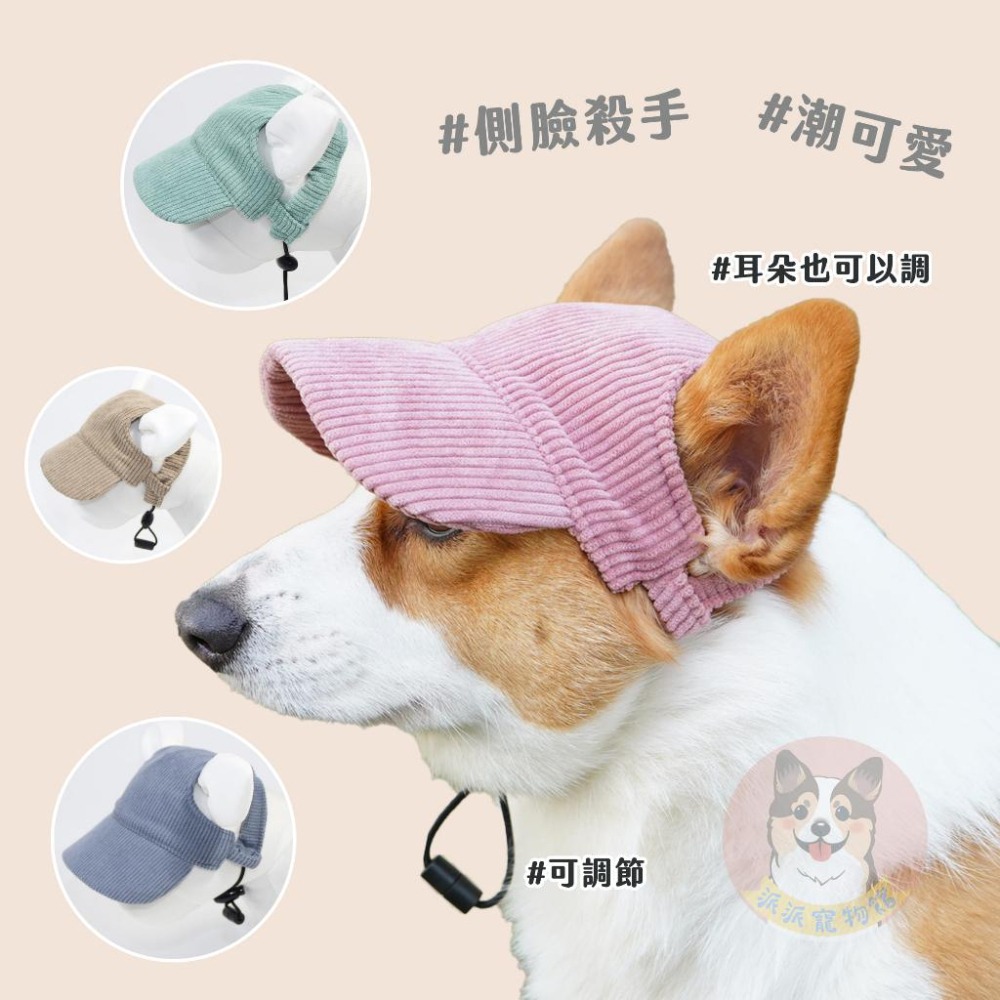 寵物漁夫帽🧢 寵物帽子 狗狗帽子 狗帽子 貓咪帽子 遮陽帽 寵物帽 寵物配件 大狗帽子 柯基棒球帽 小狗帽子 狗帽貓帽-細節圖8