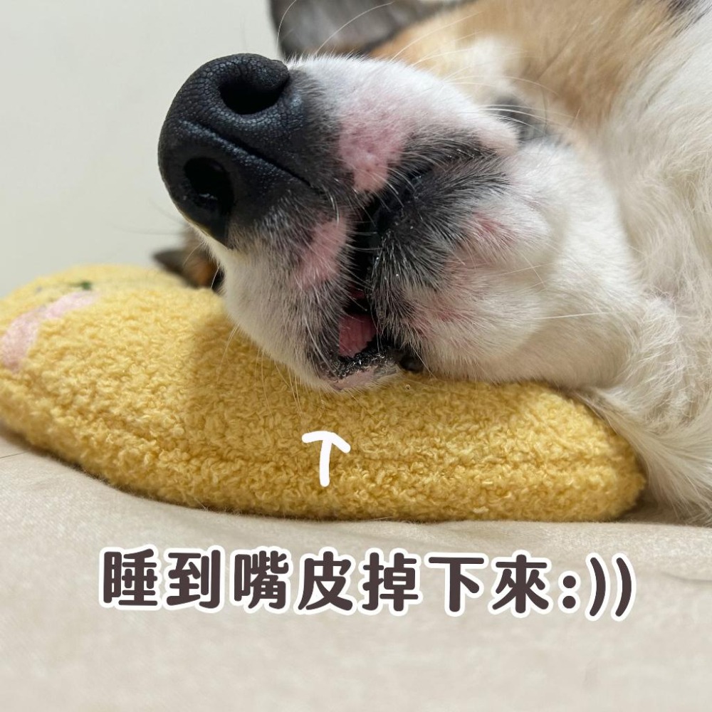 🍒寵物小枕頭🍒 寵物枕頭 狗狗枕頭 貓咪枕頭 寵物抱枕 貓咪抱枕 狗狗抱枕 狗窩 貓窩 寵物窩貓狗寵物用品睡窩幼犬幼貓-細節圖2