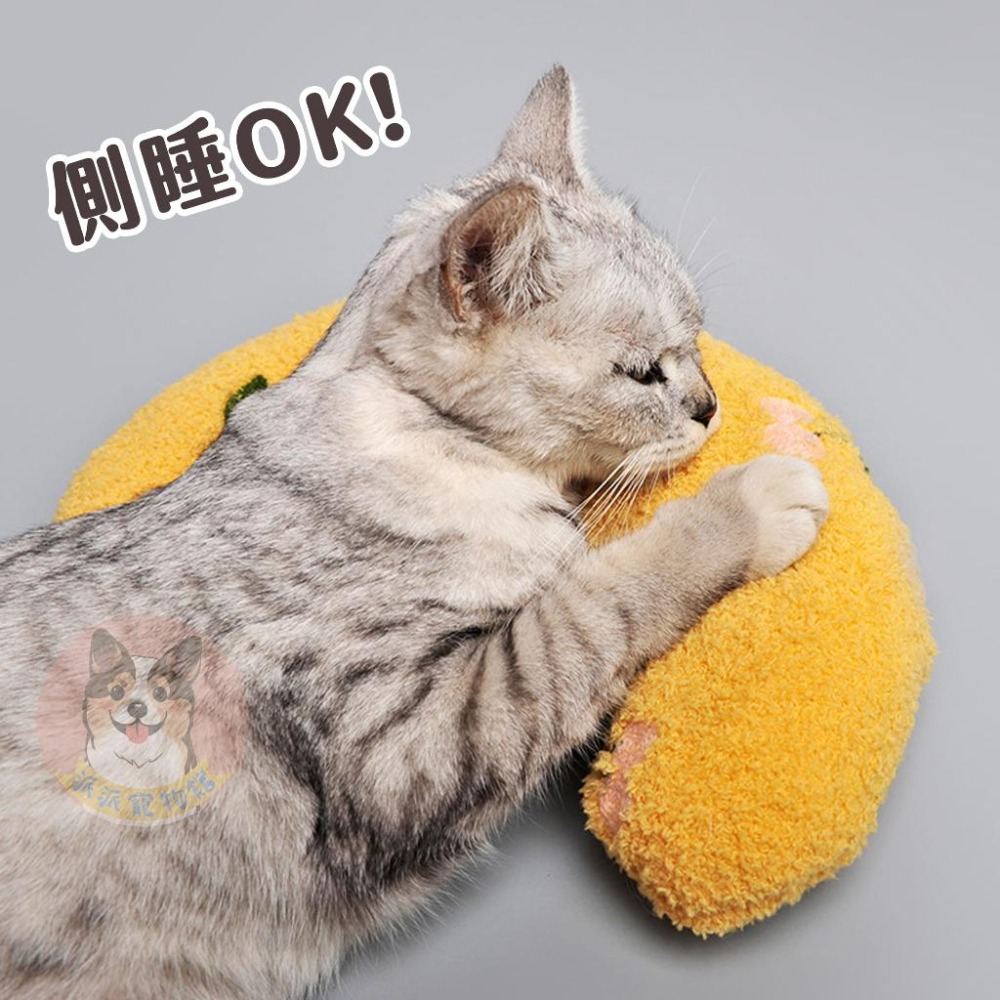 🍒寵物小枕頭🍒 寵物枕頭 狗狗枕頭 貓咪枕頭 寵物抱枕 貓咪抱枕 狗狗抱枕 狗窩 貓窩 寵物窩貓狗寵物用品睡窩幼犬幼貓-細節圖4