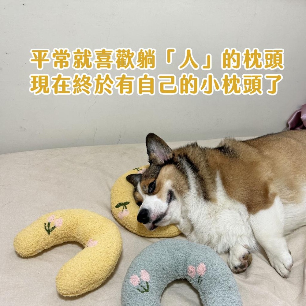 🍒寵物小枕頭🍒 寵物枕頭 狗狗枕頭 貓咪枕頭 寵物抱枕 貓咪抱枕 狗狗抱枕 狗窩 貓窩 寵物窩貓狗寵物用品睡窩幼犬幼貓-細節圖5