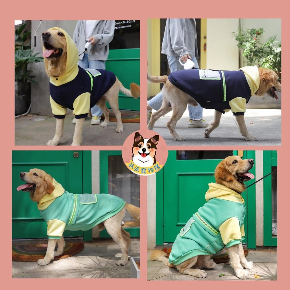 透明口袋帽T💛 寵物衣服 狗狗衣服 狗衣服 寵物服飾 中型犬衣服 大型犬衣服 大狗衣服 寵物保暖 柯基衣服 柴犬衣服 狗-細節圖4