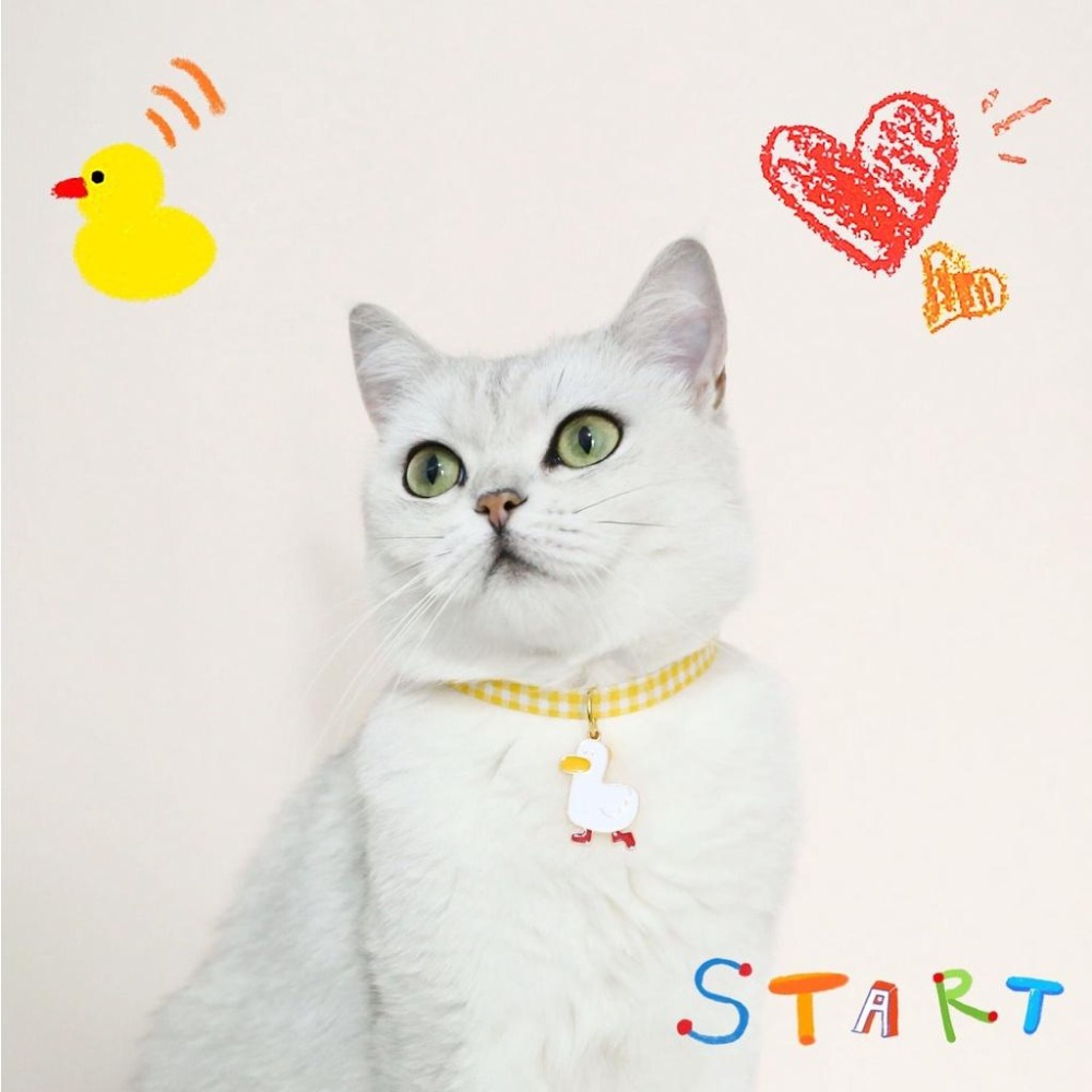 💘可愛吊墜項圈😍 貓項圈 狗項圈 寵物項圈 貓咪項圈 狗狗項圈 貓咪用品 橘貓小狗小貓小型犬貓幼貓幼犬和風項圈頸圈飾品-細節圖5