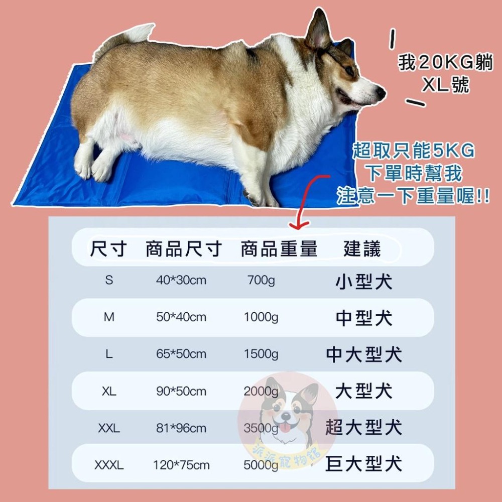 寵物冰墊❄️ 寵物涼墊 狗狗睡墊 狗狗涼墊 狗窩 寵物地墊 寵物墊 寵物散熱墊 寵物睡墊 寵物防水墊 貓狗墊 狗狗用品-細節圖2