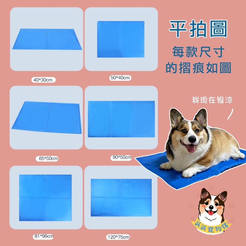 寵物冰墊❄️ 寵物涼墊 狗狗睡墊 狗狗涼墊 狗窩 寵物地墊 寵物墊 寵物散熱墊 寵物睡墊 寵物防水墊 貓狗墊 狗狗用品-細節圖3