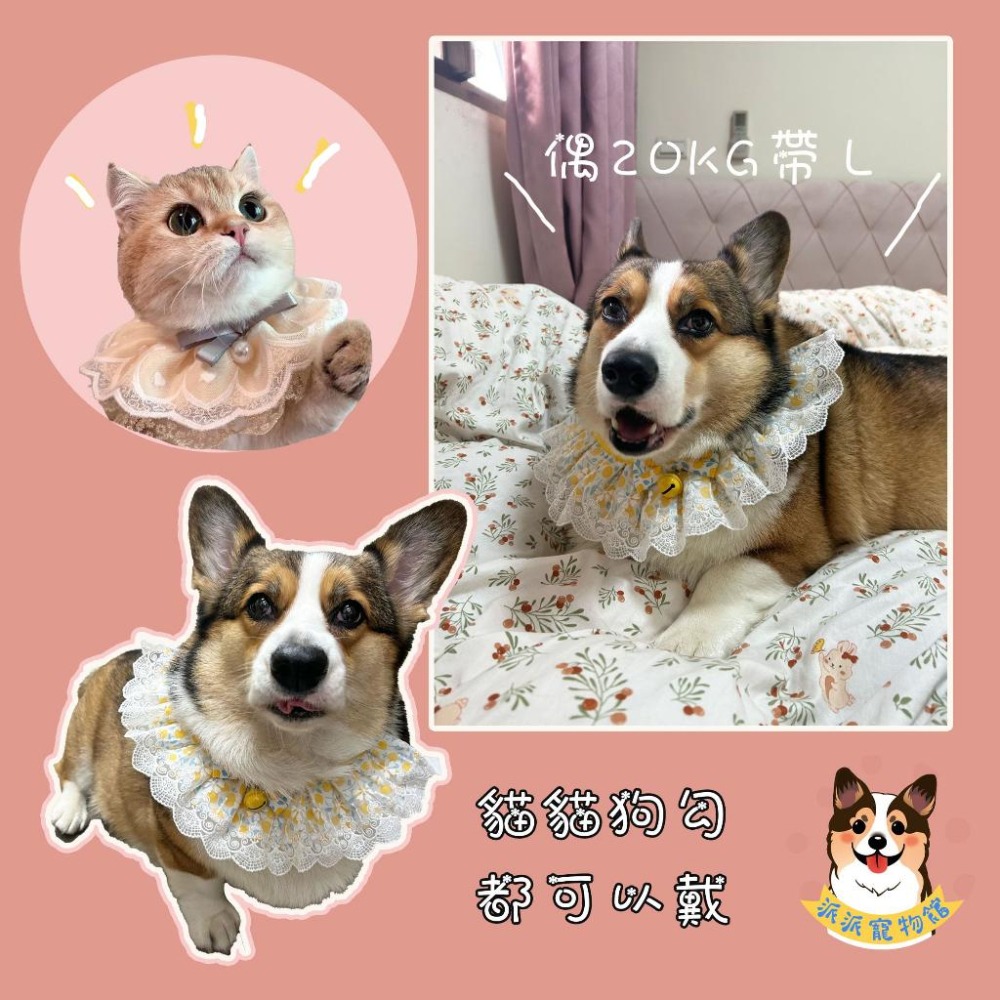 🌸蕾絲/格子圍脖🌸 寵物領巾 貓領巾 狗領巾 貓咪領巾 狗狗領巾 貓咪圍巾 貓狗寵物圍巾寵物貓咪配件圍兜口水巾項圈圍脖-細節圖3