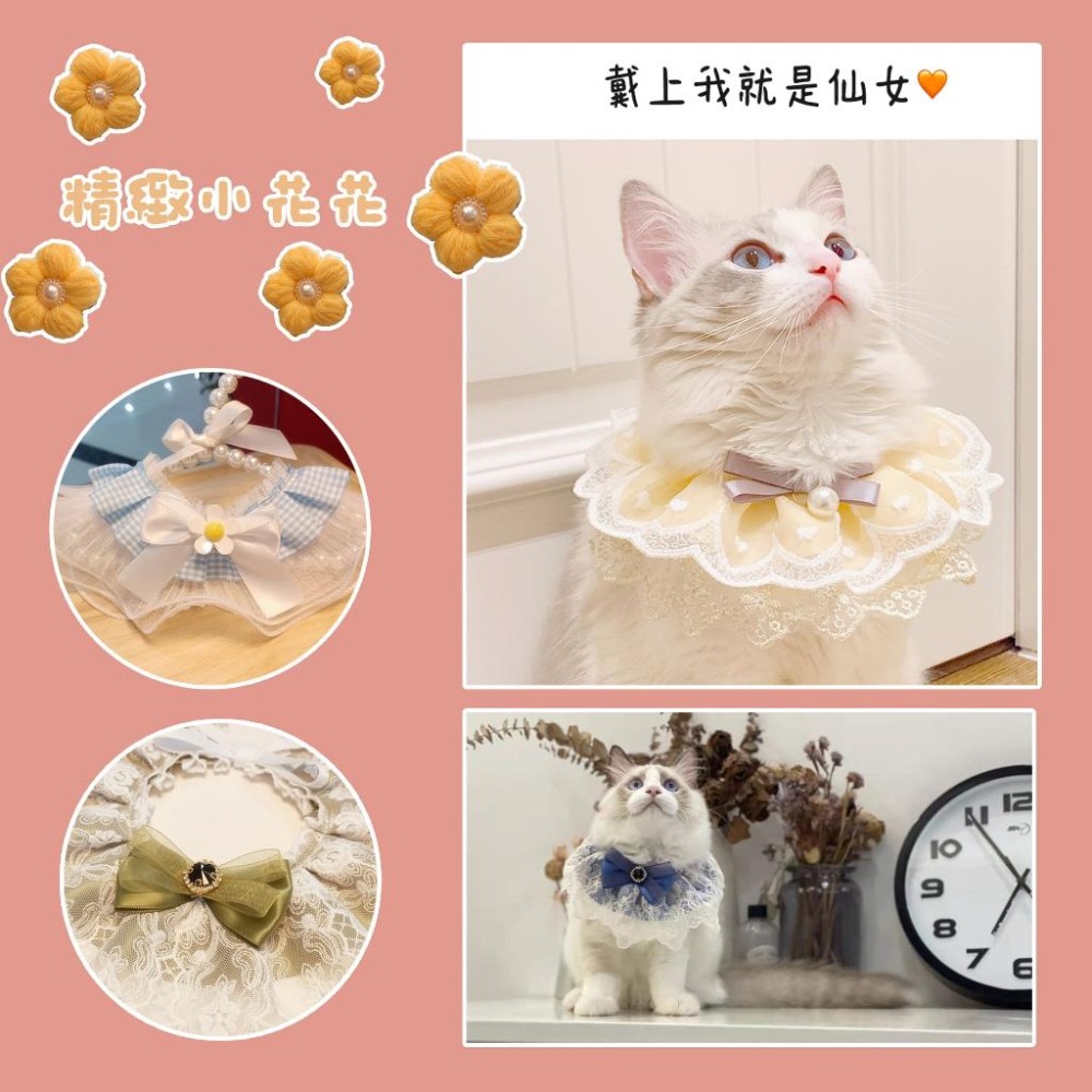 🌸蕾絲/格子圍脖🌸 寵物領巾 貓領巾 狗領巾 貓咪領巾 狗狗領巾 貓咪圍巾 貓狗寵物圍巾寵物貓咪配件圍兜口水巾項圈圍脖-細節圖4