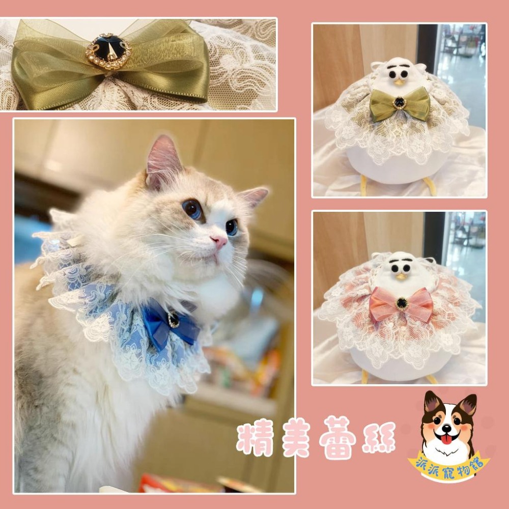 🌸蕾絲/格子圍脖🌸 寵物領巾 貓領巾 狗領巾 貓咪領巾 狗狗領巾 貓咪圍巾 貓狗寵物圍巾寵物貓咪配件圍兜口水巾項圈圍脖-細節圖5