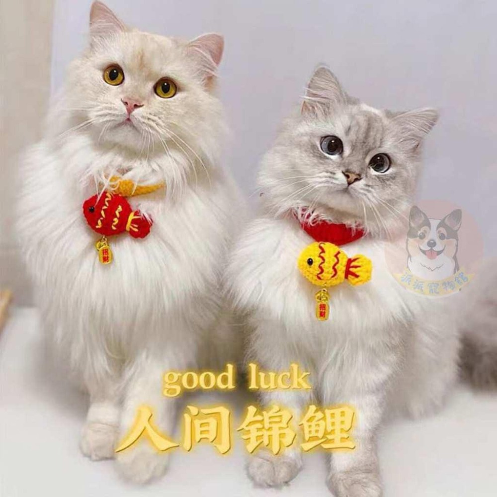 新年配件 寵物紅包袋 寵物配件 寵物過年 寵物圍巾 寵物項圈 狗狗紅包 貓項圈 紅包帽子福袋頸圈項鍊圍脖-細節圖6