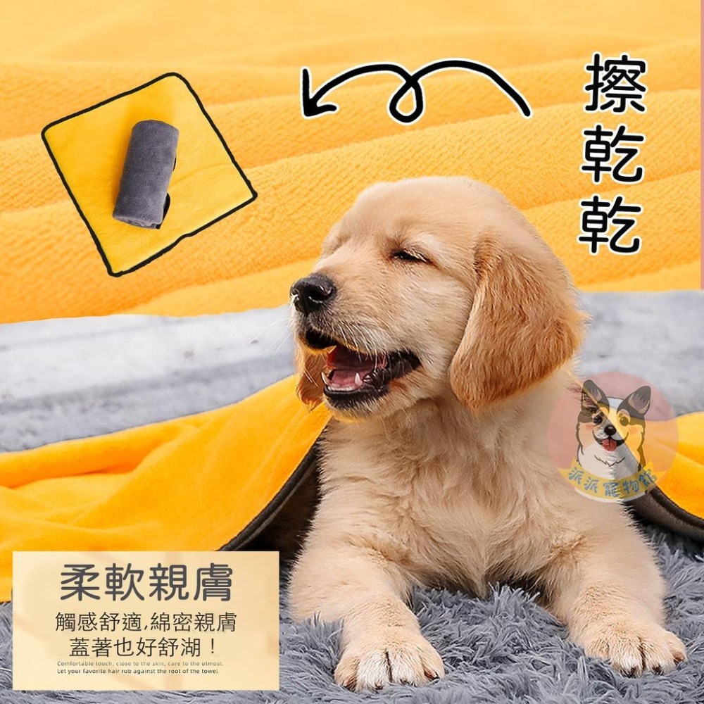 🔜寵物吸水毛巾💧 寵物毛巾 吸水毛巾 狗狗洗澡 寵物浴巾 狗狗毛巾 寵物洗澡 毛巾擦車布寵物用品狗用品狗狗用品狗狗外出-細節圖5