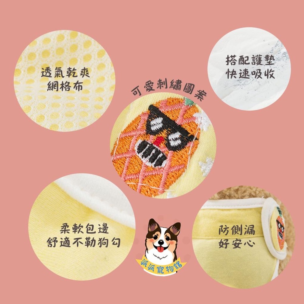 🍓狗狗生理褲🍍 寵物生理褲 狗生理褲 狗狗尿布 狗尿布 寵物尿布 母狗生理褲 母狗尿布 母狗 狗狗用品 寵物用品狗用品-細節圖3
