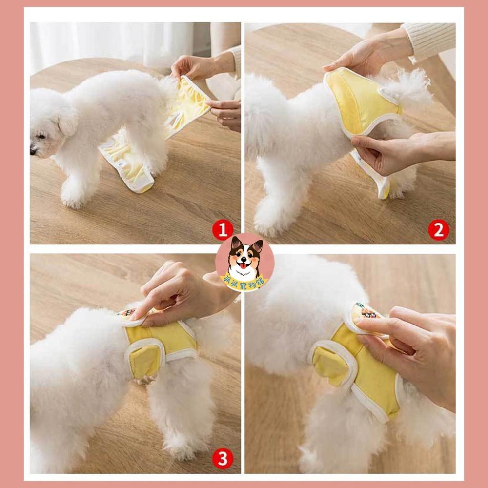 🍓狗狗生理褲🍍 寵物生理褲 狗生理褲 狗狗尿布 狗尿布 寵物尿布 母狗生理褲 母狗尿布 母狗 狗狗用品 寵物用品狗用品-細節圖4