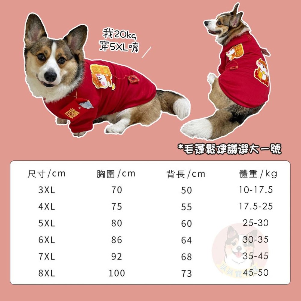 大狗新年衣🧨 寵物新年衣 狗狗新年衣 狗衣服 大狗衣服柯基狗狗衣服寵物衣服寵物過年寵物新年寵物春裝狗狗新年衣服中大型犬-細節圖2