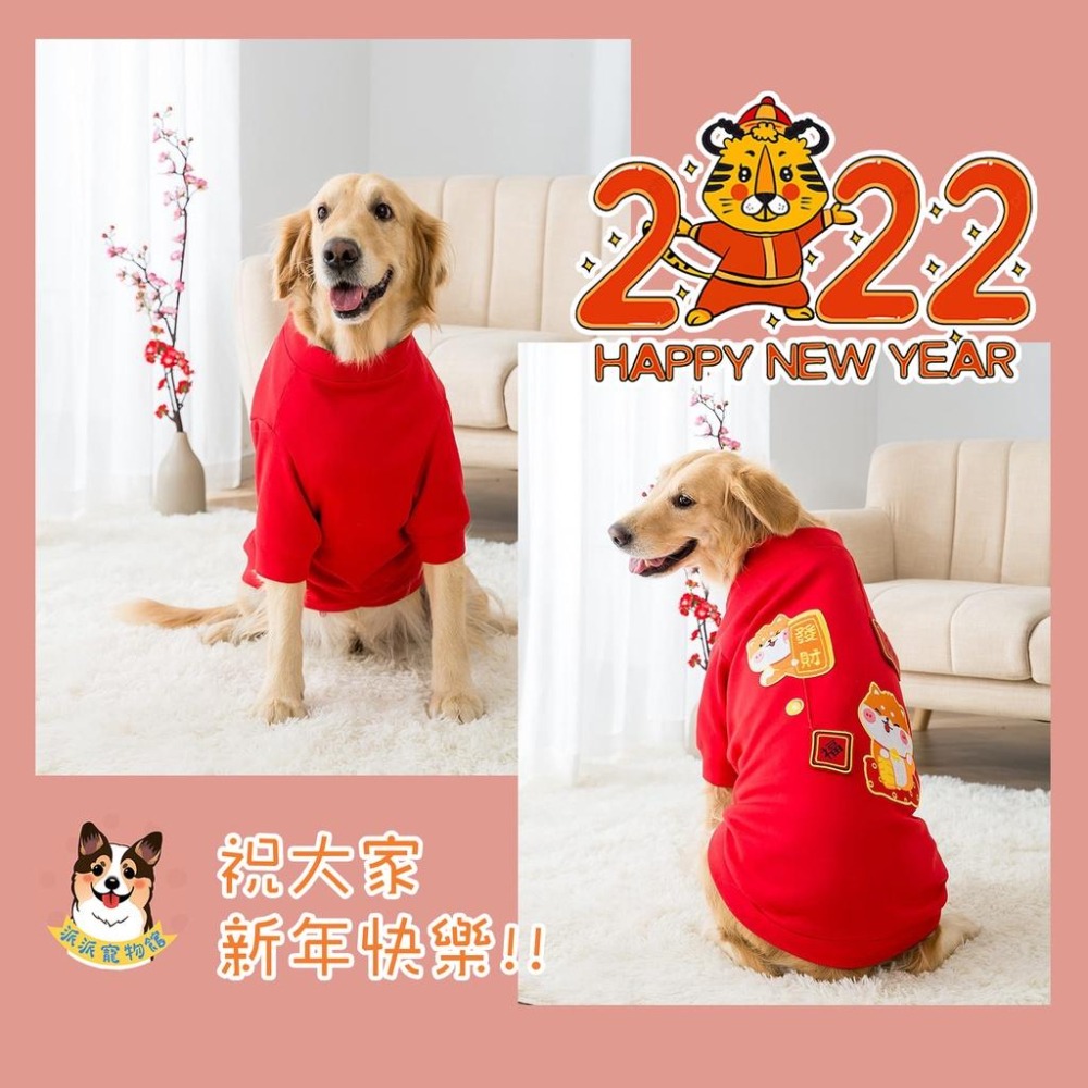 大狗新年衣🧨 寵物新年衣 狗狗新年衣 狗衣服 大狗衣服柯基狗狗衣服寵物衣服寵物過年寵物新年寵物春裝狗狗新年衣服中大型犬-細節圖5