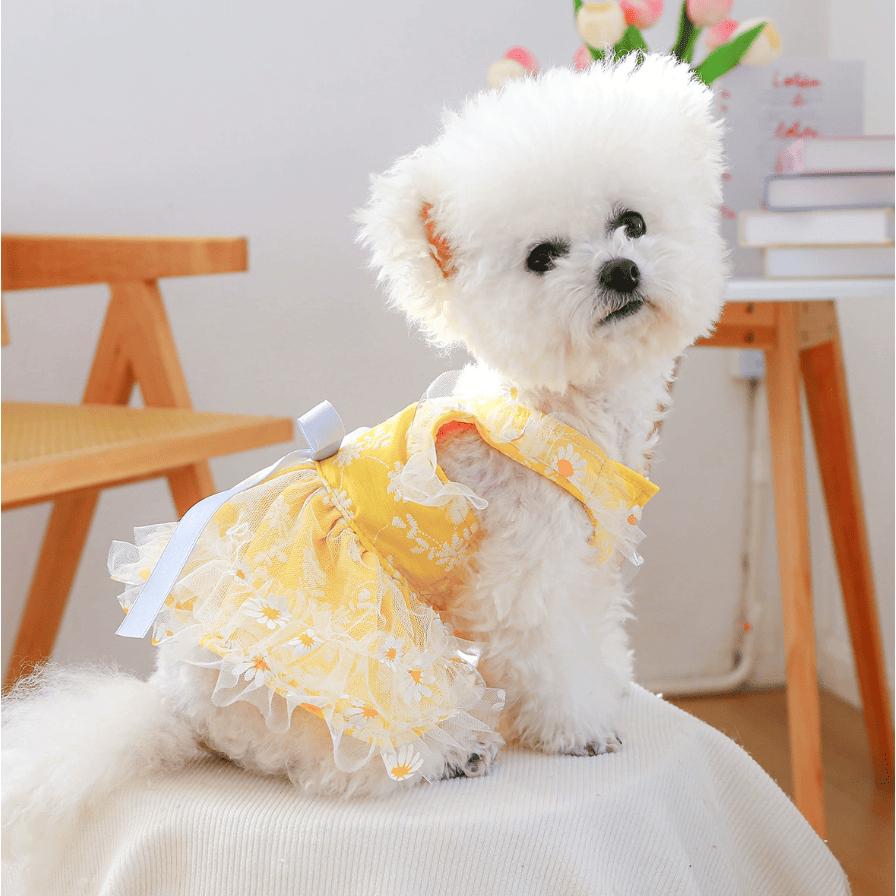 🌺寵物連身裙🌺 寵物衣服 狗衣服 貓衣服 狗狗衣服 貓咪衣服 寵物服飾寵物裙子狗衣服小型犬小狗衣服博美比熊幼犬幼貓衣服-細節圖4