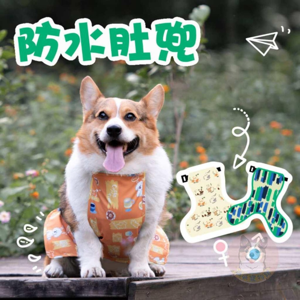 🍦柯基肚兜🍓 柯基 寵物肚兜 柯基衣服 臘腸狗衣服 寵物衣服 狗衣服 狗狗衣服 寵物服飾 寵物背心 臘腸狗 夏天圍兜兜-細節圖2