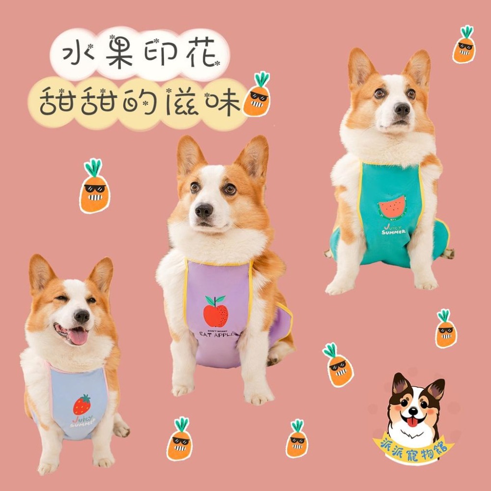 🍦柯基肚兜🍓 柯基 寵物肚兜 柯基衣服 臘腸狗衣服 寵物衣服 狗衣服 狗狗衣服 寵物服飾 寵物背心 臘腸狗 夏天圍兜兜-細節圖7