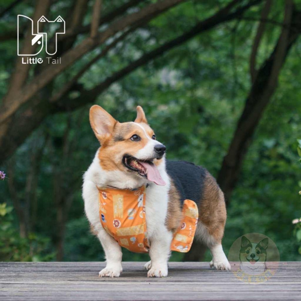 🍦柯基肚兜🍓 柯基 寵物肚兜 柯基衣服 臘腸狗衣服 寵物衣服 狗衣服 狗狗衣服 寵物服飾 寵物背心 臘腸狗 夏天圍兜兜-細節圖8