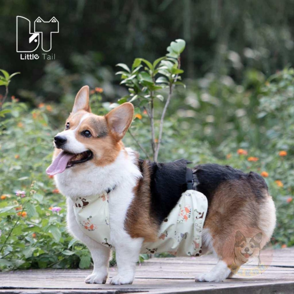 🍦柯基肚兜🍓 柯基 寵物肚兜 柯基衣服 臘腸狗衣服 寵物衣服 狗衣服 狗狗衣服 寵物服飾 寵物背心 臘腸狗 夏天圍兜兜-細節圖9