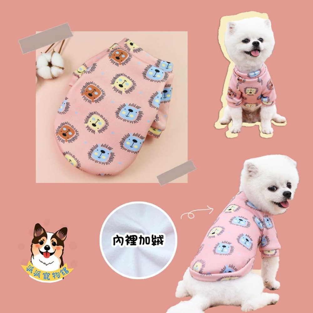 🦕滿版寵物衣服🐻 狗衣服小型犬 寵物衣服 貓衣服 狗衣服 貓咪衣服 寵物服飾 狗狗衣服 小狗幼犬幼貓博美臘腸貴賓狗配件-細節圖4
