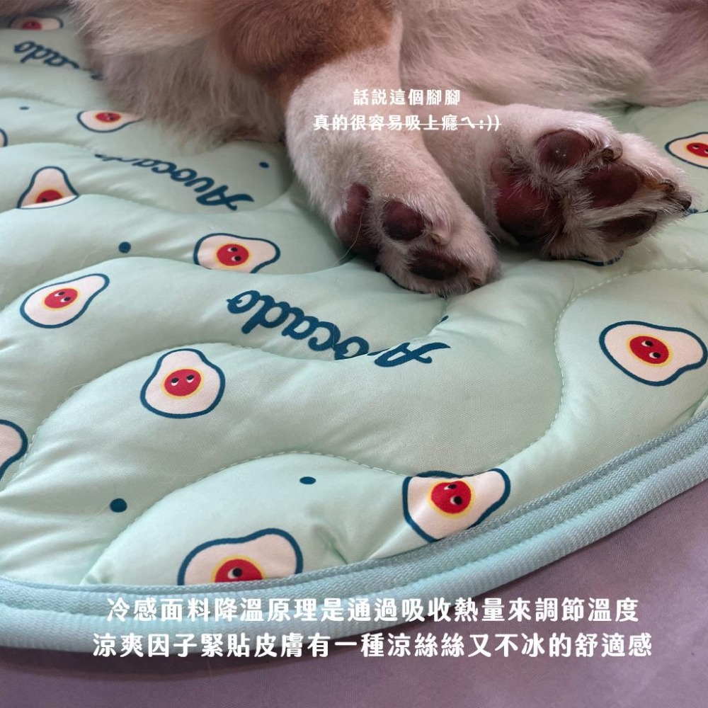 寵物冰絲涼感墊⚡️ 寵物涼墊 寵物涼感墊 寵物墊 狗涼墊 寵物地墊 貓涼墊 貓咪涼墊 貓墊 狗窩 狗狗涼墊狗墊寵物冰墊-細節圖2