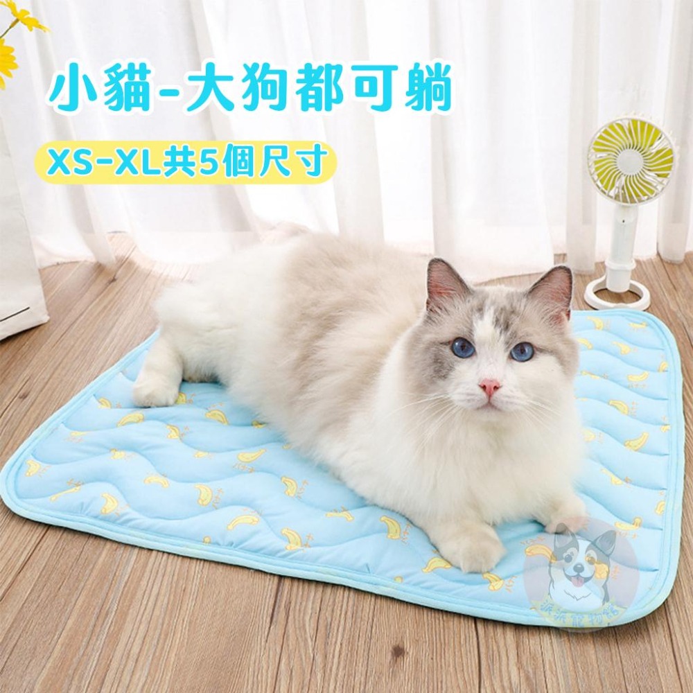 寵物冰絲涼感墊⚡️ 寵物涼墊 寵物涼感墊 寵物墊 狗涼墊 寵物地墊 貓涼墊 貓咪涼墊 貓墊 狗窩 狗狗涼墊狗墊寵物冰墊-細節圖4