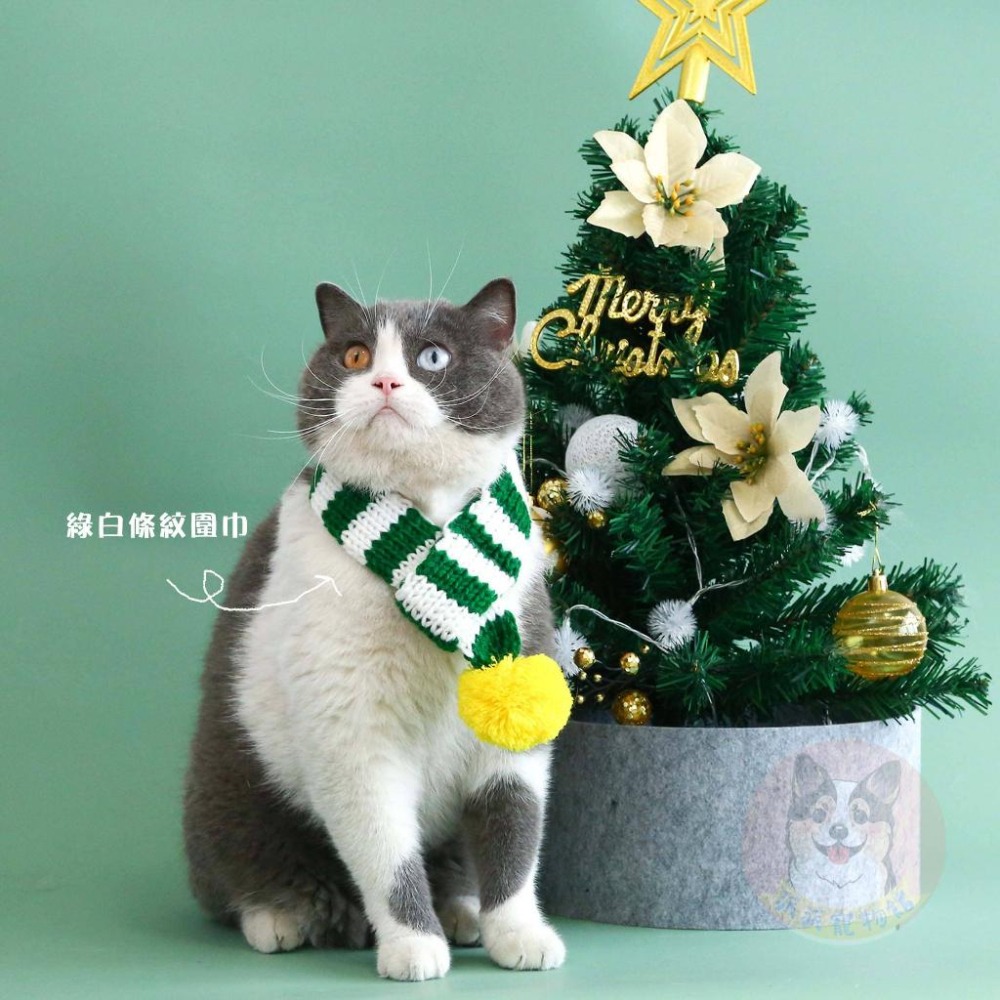 聖誕節🎄 狗狗帽子 狗狗口水巾 寵物帽子 寵物配件 寵物圍兜 寵物貓咪狗狗領巾 口水巾 變裝圍脖圍巾頸圈飾品裝飾聖誕帽-細節圖6