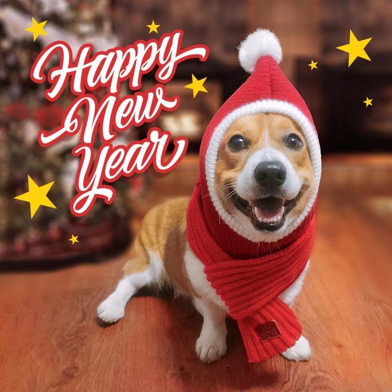 聖誕節🎄 狗狗帽子 狗狗口水巾 寵物帽子 寵物配件 寵物圍兜 寵物貓咪狗狗領巾 口水巾 變裝圍脖圍巾頸圈飾品裝飾聖誕帽-細節圖9