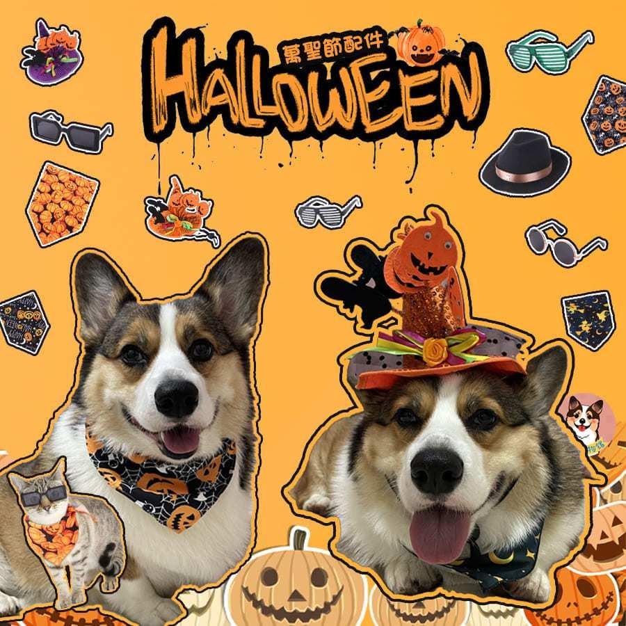 🪓萬聖節變裝🎃 寵物帽子 寵物領巾 寵物斗篷 寵物萬聖節 寵物披風 狗狗帽子 貓咪領巾 貓咪狗狗帽子 斗篷鈴鐺披風變裝-細節圖6