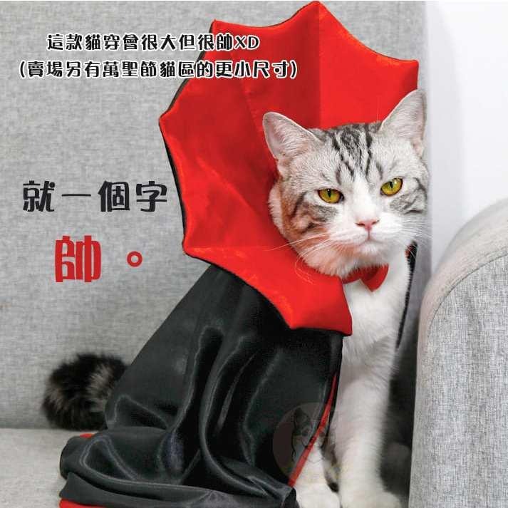 🪓萬聖節變裝🎃 寵物帽子 寵物領巾 寵物斗篷 寵物萬聖節 寵物披風 狗狗帽子 貓咪領巾 貓咪狗狗帽子 斗篷鈴鐺披風變裝-細節圖9