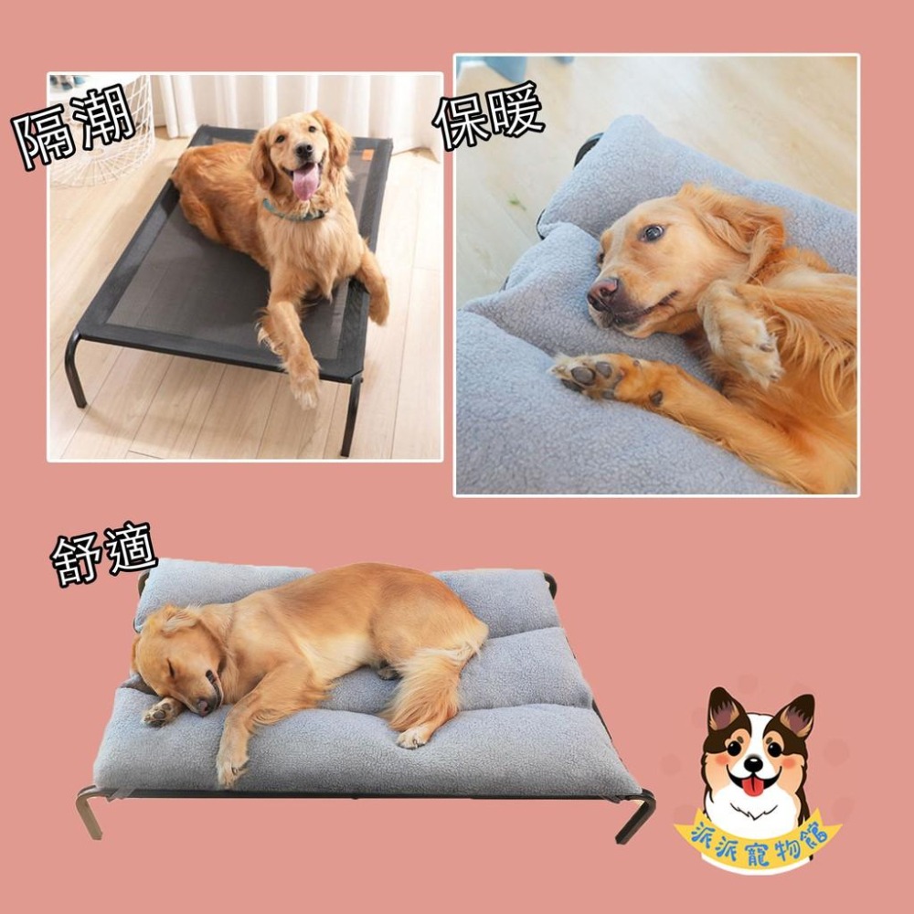 寵物行軍床💨 狗狗床 寵物透氣床 寵物床 行軍床 狗床 狗窩 寵物飛行床 寵物窩 狗狗窩 寵物散熱 寵物睡窩 狗狗 寵物-細節圖6
