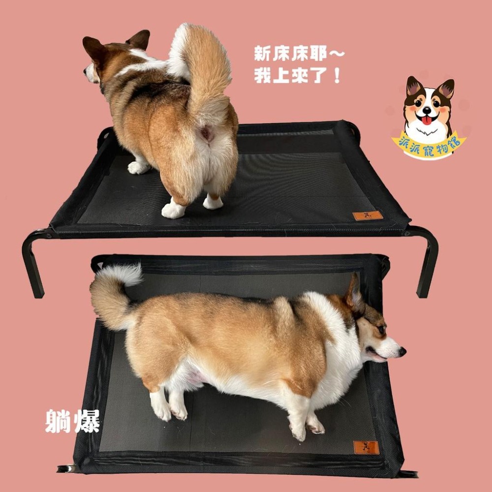 寵物行軍床💨 狗狗床 寵物透氣床 寵物床 行軍床 狗床 狗窩 寵物飛行床 寵物窩 狗狗窩 寵物散熱 寵物睡窩 狗狗 寵物-細節圖7