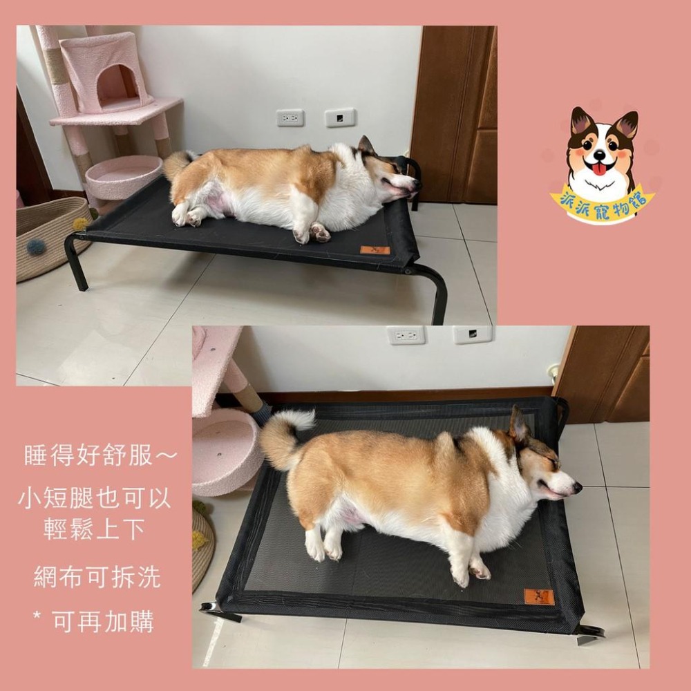 寵物行軍床💨 狗狗床 寵物透氣床 寵物床 行軍床 狗床 狗窩 寵物飛行床 寵物窩 狗狗窩 寵物散熱 寵物睡窩 狗狗 寵物-細節圖8