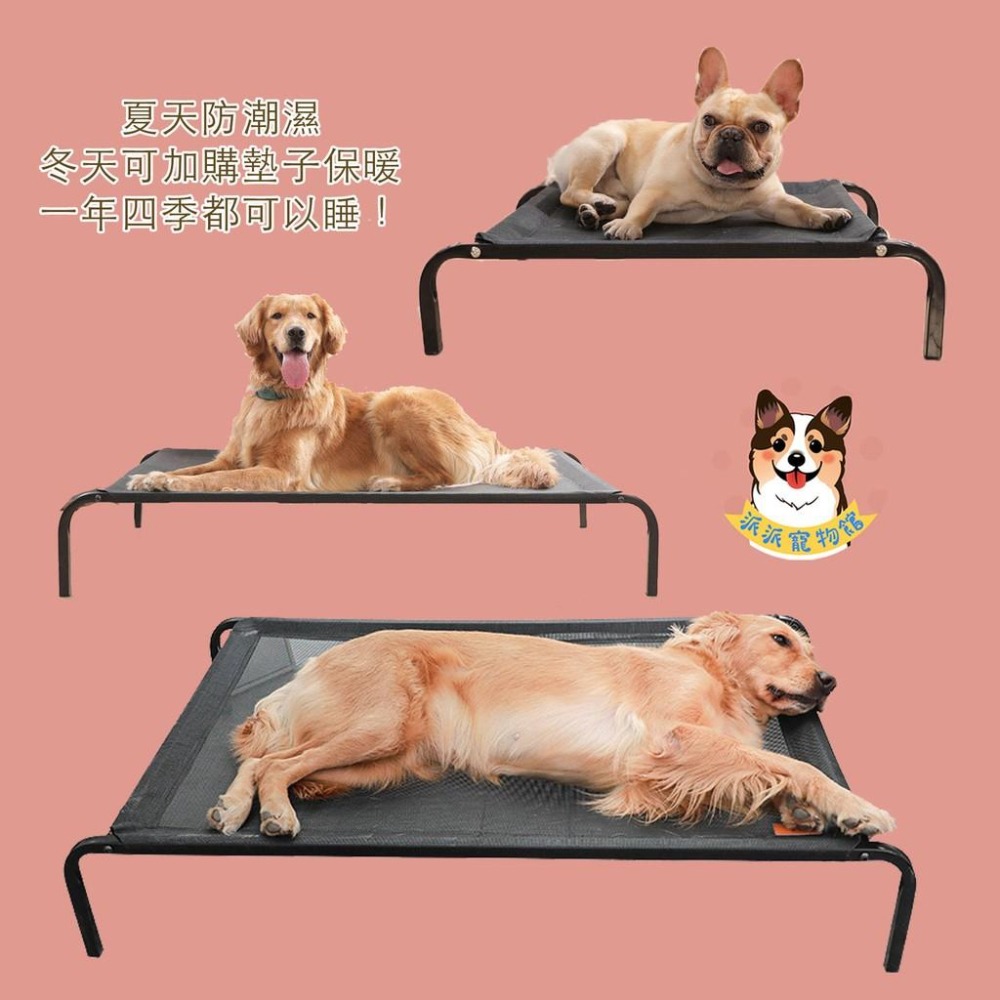 寵物行軍床💨 狗狗床 寵物透氣床 寵物床 行軍床 狗床 狗窩 寵物飛行床 寵物窩 狗狗窩 寵物散熱 寵物睡窩 狗狗 寵物-細節圖9