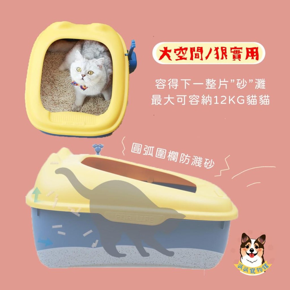 送貓鏟✨ 半封閉式貓砂盆💗 貓砂盆 貓盆 貓廁所 貓砂 貓 貓砂鏟 貓咪用品 貓沙寵物用品貓用品貓沙盆貓鏟貓咪幼貓用品-細節圖4